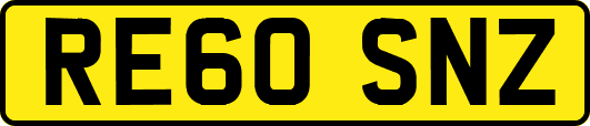 RE60SNZ