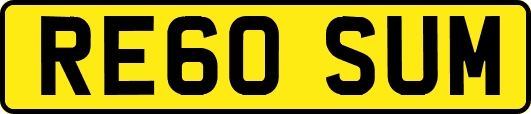 RE60SUM