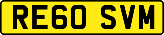 RE60SVM