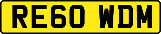 RE60WDM