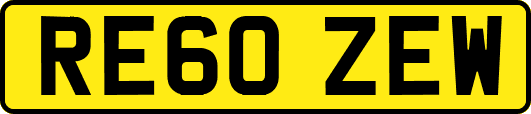 RE60ZEW