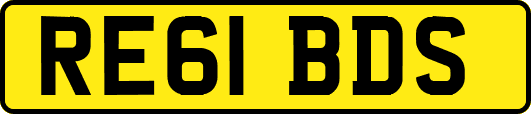 RE61BDS
