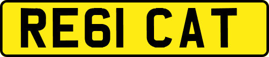 RE61CAT