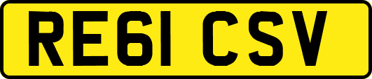 RE61CSV