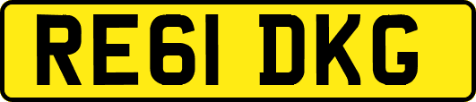 RE61DKG
