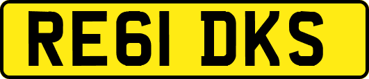 RE61DKS