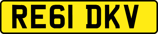RE61DKV