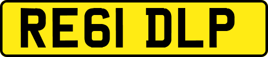 RE61DLP
