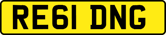 RE61DNG