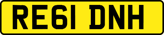 RE61DNH