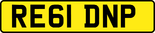 RE61DNP
