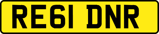 RE61DNR