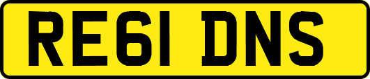 RE61DNS