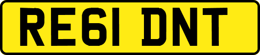 RE61DNT