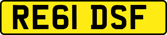 RE61DSF