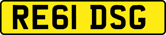 RE61DSG