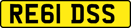 RE61DSS