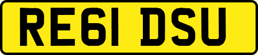 RE61DSU