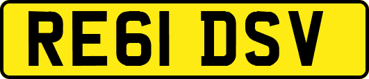 RE61DSV