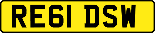 RE61DSW