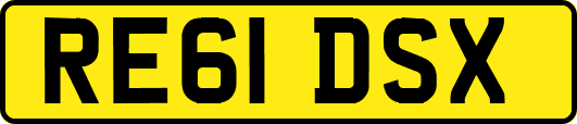 RE61DSX