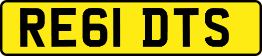 RE61DTS