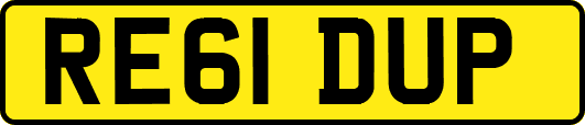 RE61DUP