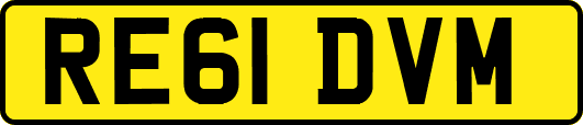 RE61DVM