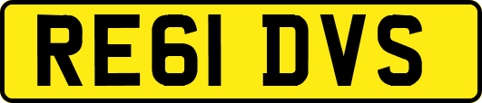 RE61DVS