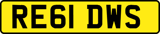 RE61DWS
