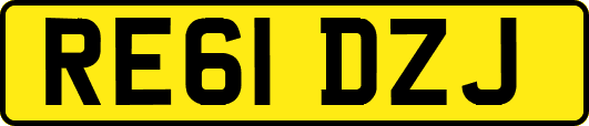 RE61DZJ