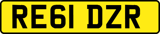 RE61DZR