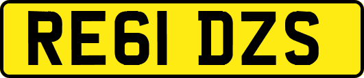 RE61DZS