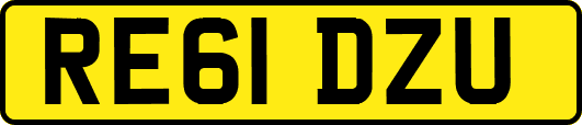 RE61DZU