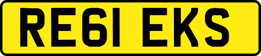 RE61EKS
