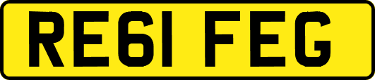 RE61FEG