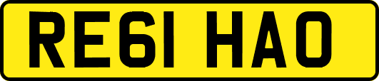 RE61HAO