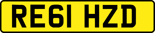 RE61HZD