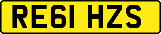 RE61HZS