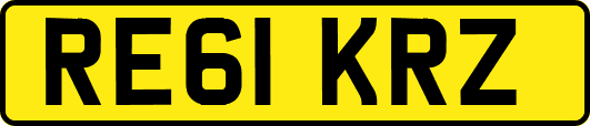 RE61KRZ