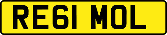 RE61MOL