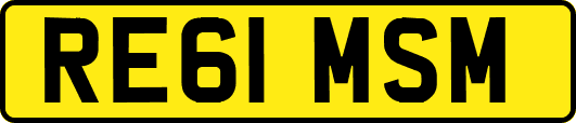 RE61MSM