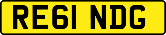 RE61NDG