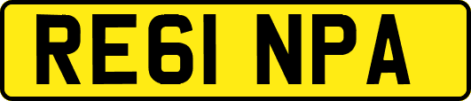 RE61NPA