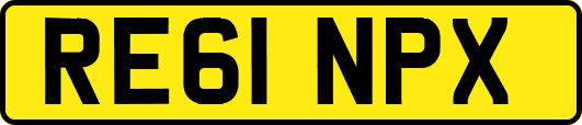 RE61NPX