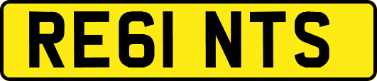RE61NTS