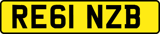 RE61NZB