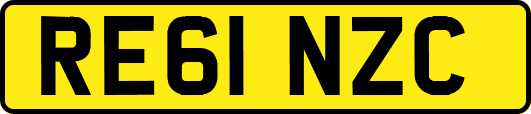RE61NZC