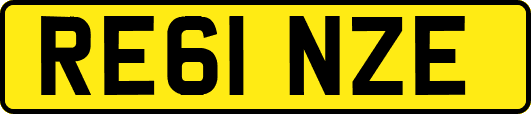RE61NZE