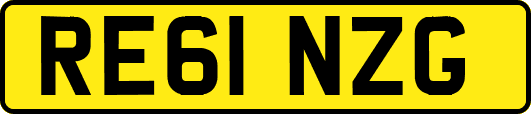 RE61NZG